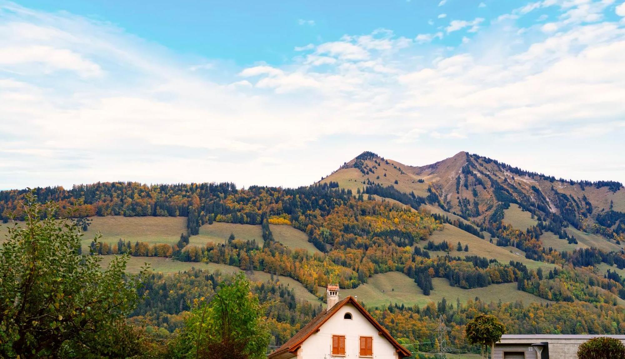 Gruyere Alpes Appartement 3 Chambres Bbq Parking Neirivue Екстериор снимка