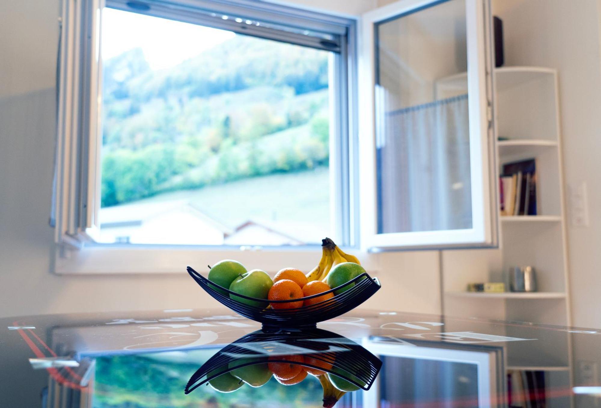Gruyere Alpes Appartement 3 Chambres Bbq Parking Neirivue Екстериор снимка